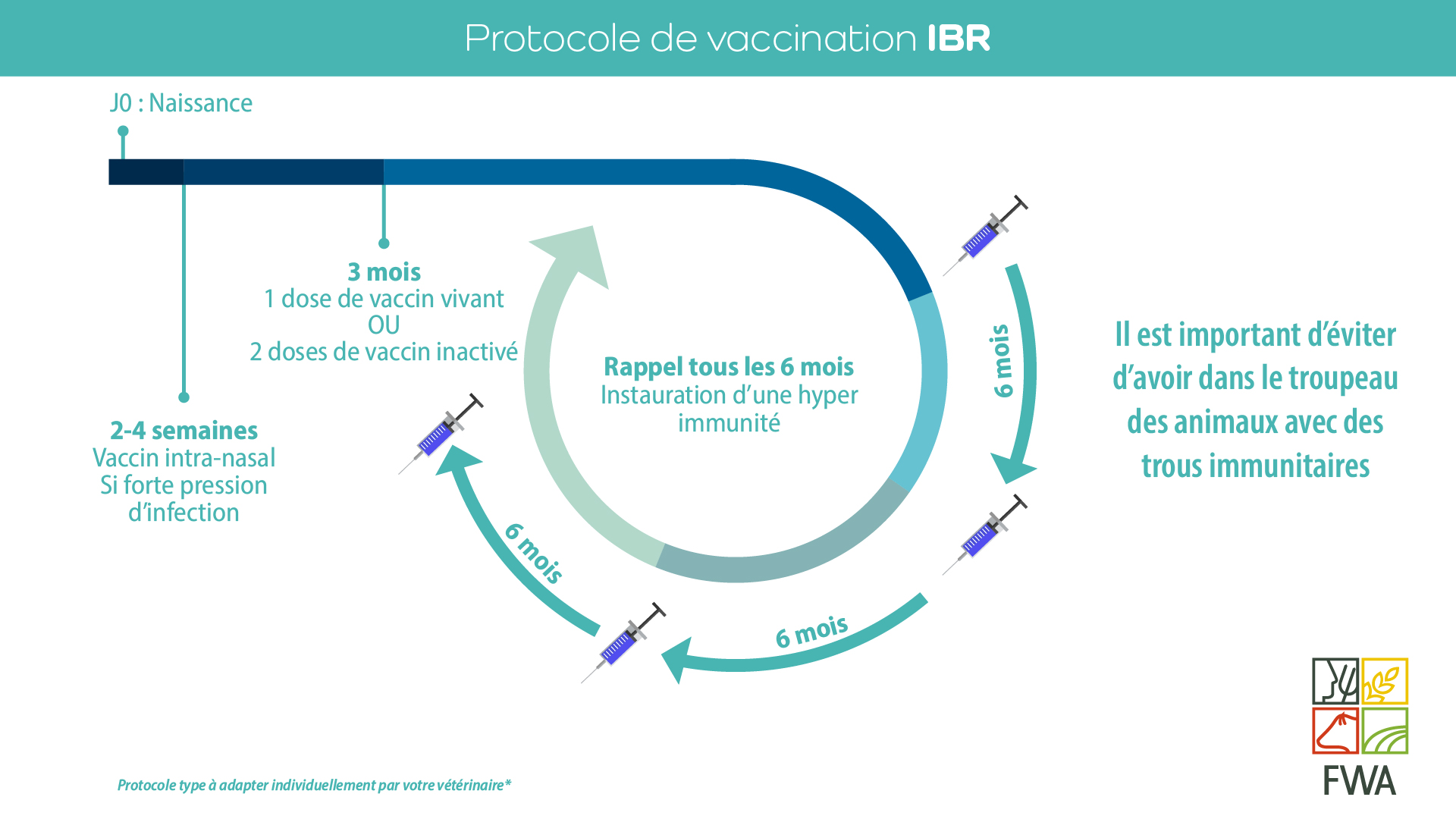 Protocole vaccination