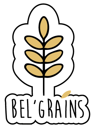 logo belgrains