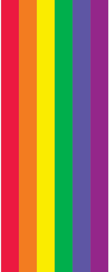 Drapeau LGBT arc-en-ciel