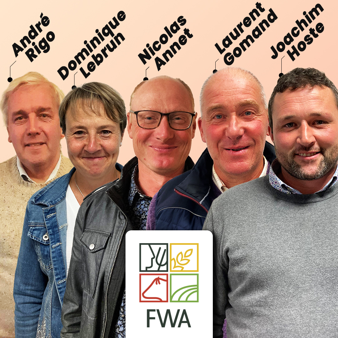 Les Vice-Présidents de la FWA
