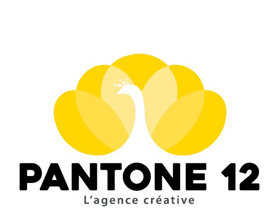 Pantone 12 logo
