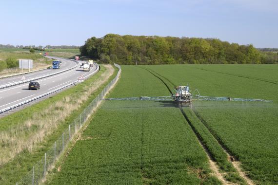  Traitement phyto sur une parcelle de blé en bord d'autoroute 